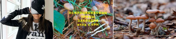 бутик Алексеевка