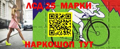 тгк Новодвинск