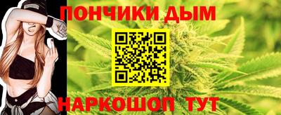тгк Новодвинск