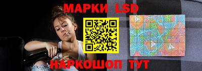 тгк Новодвинск