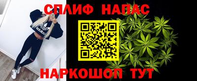 тгк Новодвинск