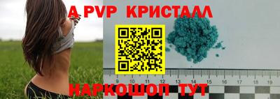 тгк Новодвинск