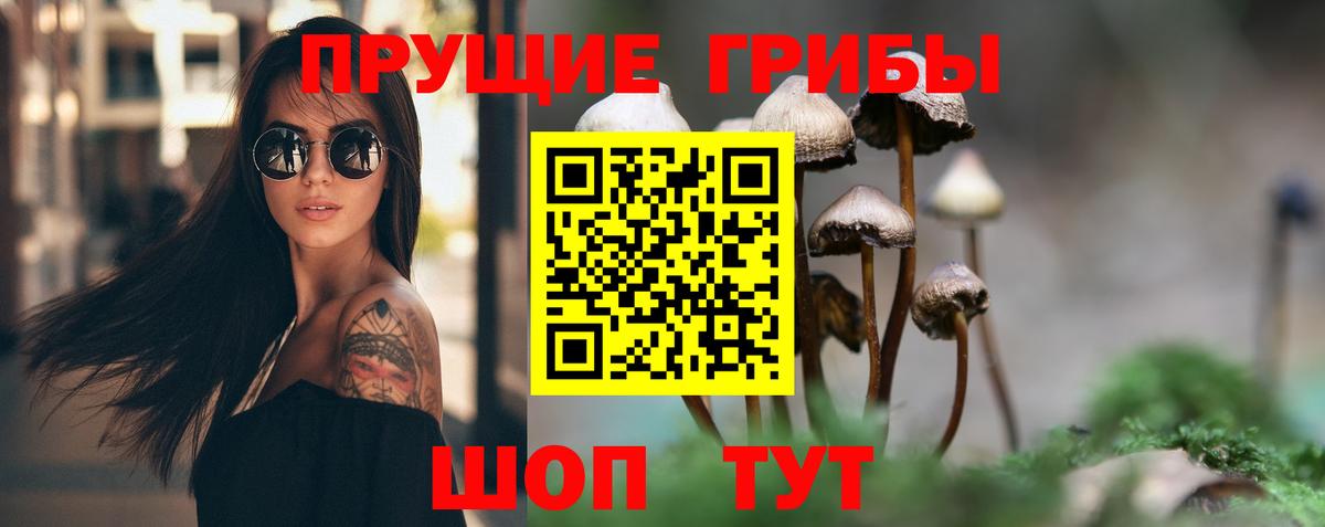 Псилоцибиновые грибы GOLDEN TEACHER  Галлюциногенные грибы мухоморы  Вход с VPN  Южно-Сахалинск 